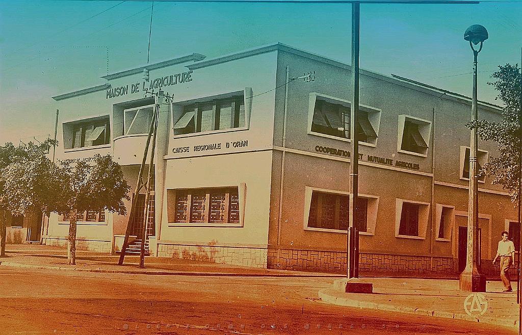 Hammam-bou-hadjar 521- Maison agriculture.jpg